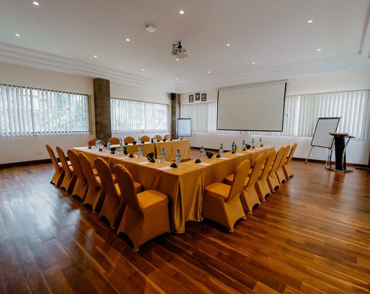 meeting-in-visesa-ubud-9